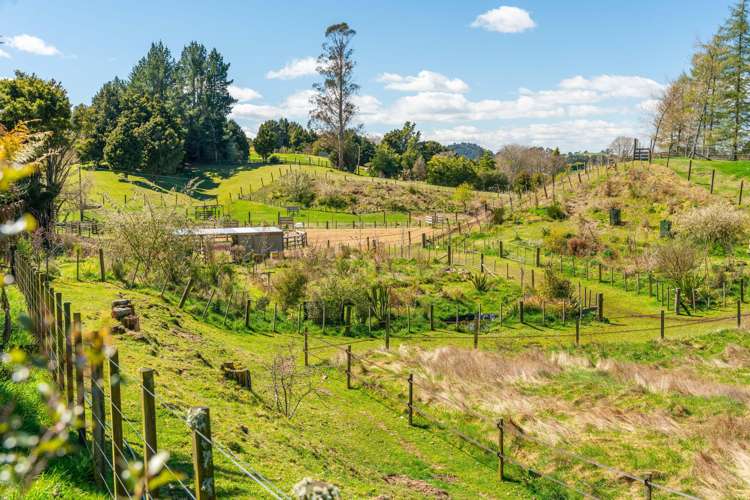 3/67 Forest Road Oruanui_26