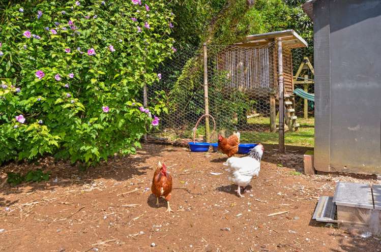 16 Durey Road Dairy Flat_31