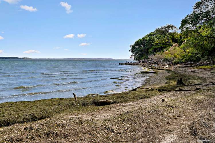 44a Aldersgate Road Hillsborough_7