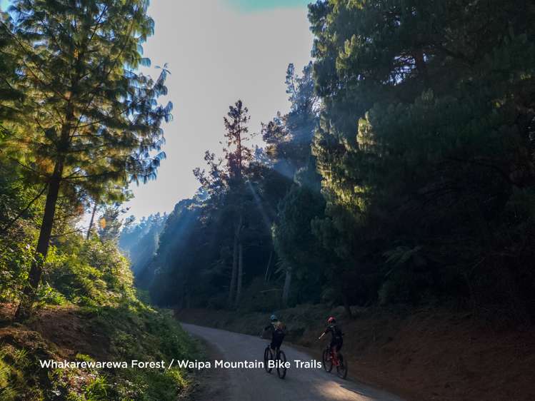 3 Jameson Avenue Fenton Park_24