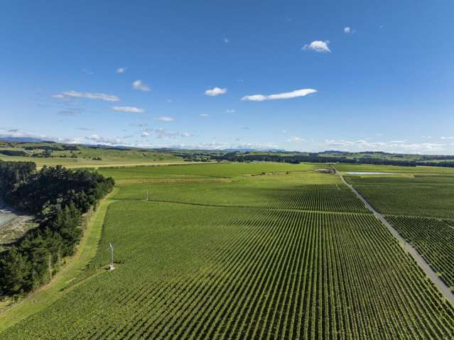 1905 Matapiro Road Crownthorpe_4