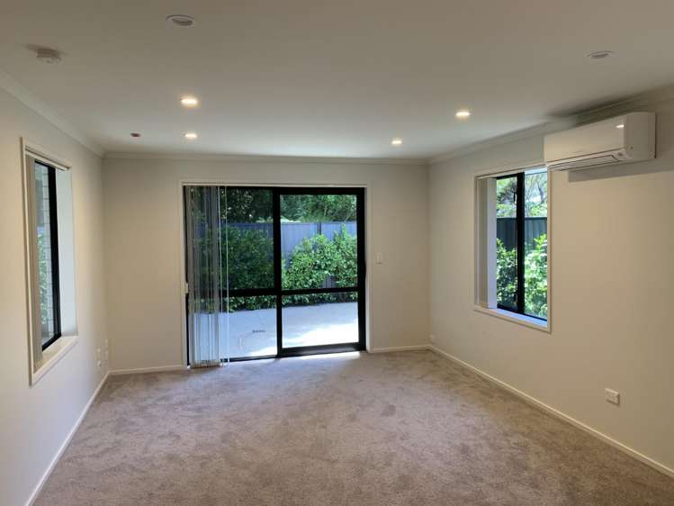 5/1 Brooklyn Road Claudelands_2