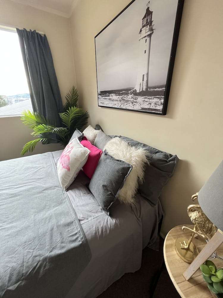 3 Serpentine Avenue Dunedin Central_5