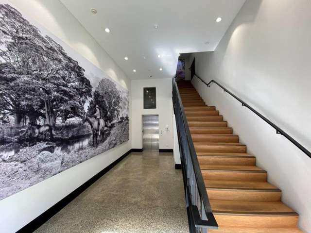 1 Faraday Street Parnell_1