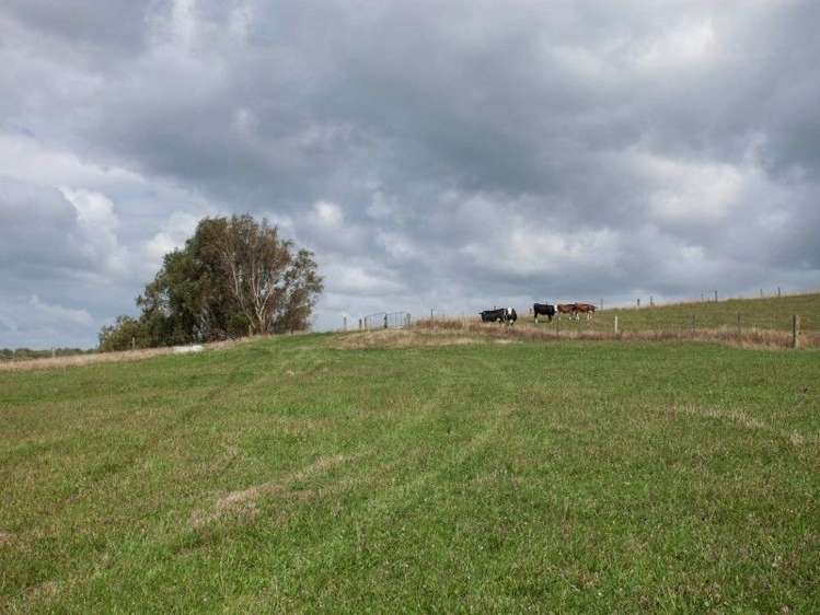 137 Sanson Road Ruawaro_36