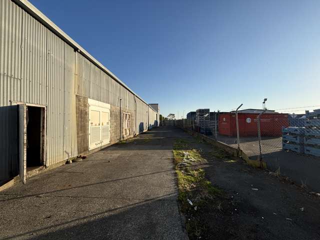 41 Keith Street Roslyn_4