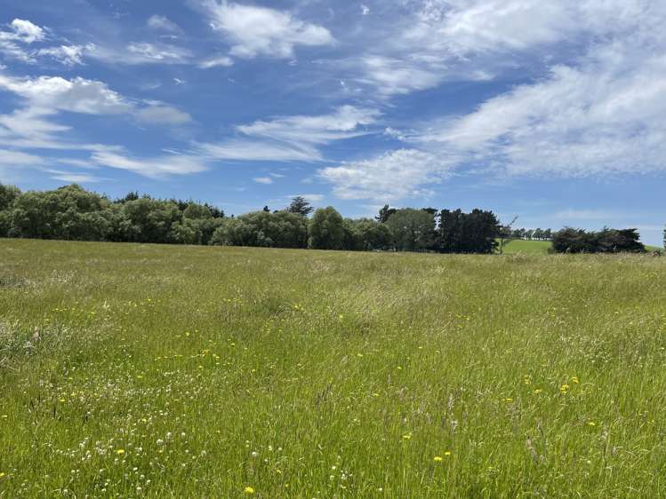 92 Maytown Road Waimate_17