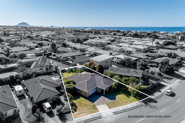 39 Sunrise Avenue Mount Maunganui_1