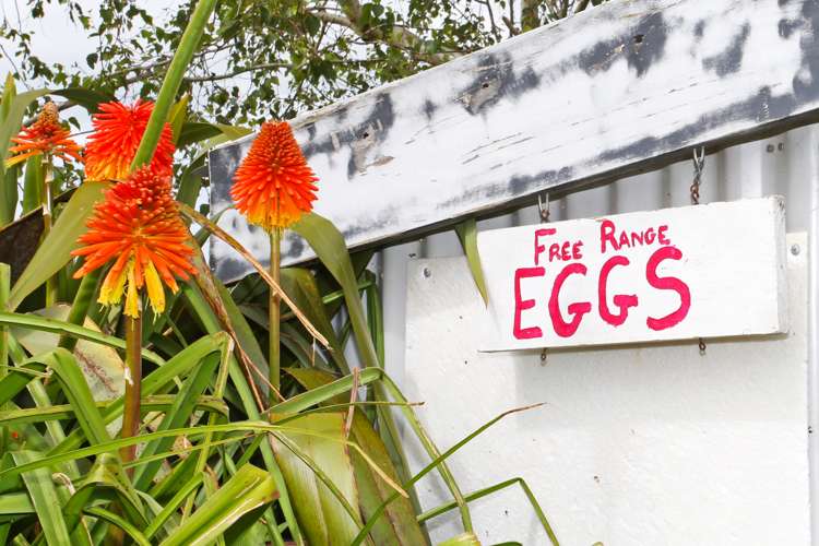 993 Awhitu Road Pollok_2