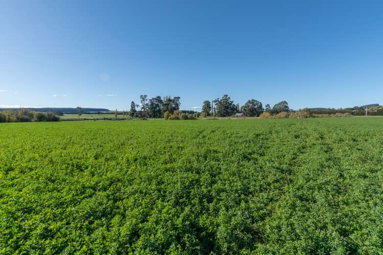 795 Omihi Road Waipara_10