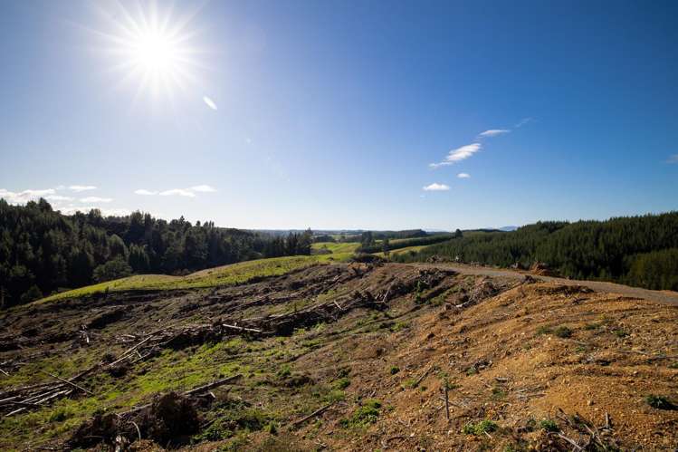 Supplejack Valley Road Upper Moutere_12