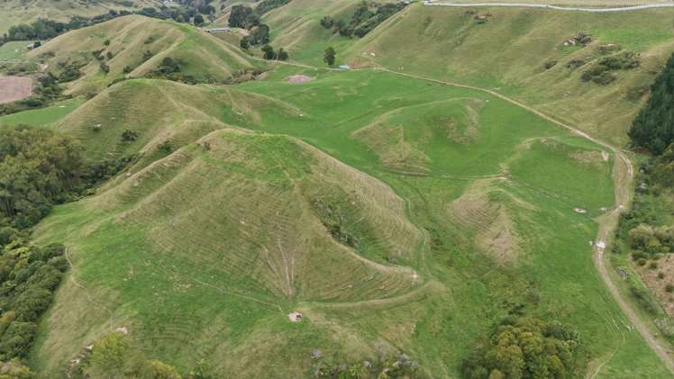 147A Pikowai Road Pikowai_16