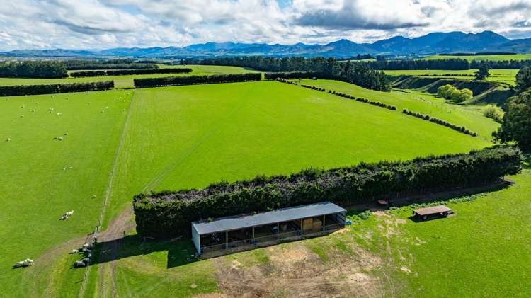 257 Lyndon Road Waiau_14