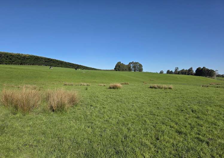 351 Loburn Kowai Road Loburn_40