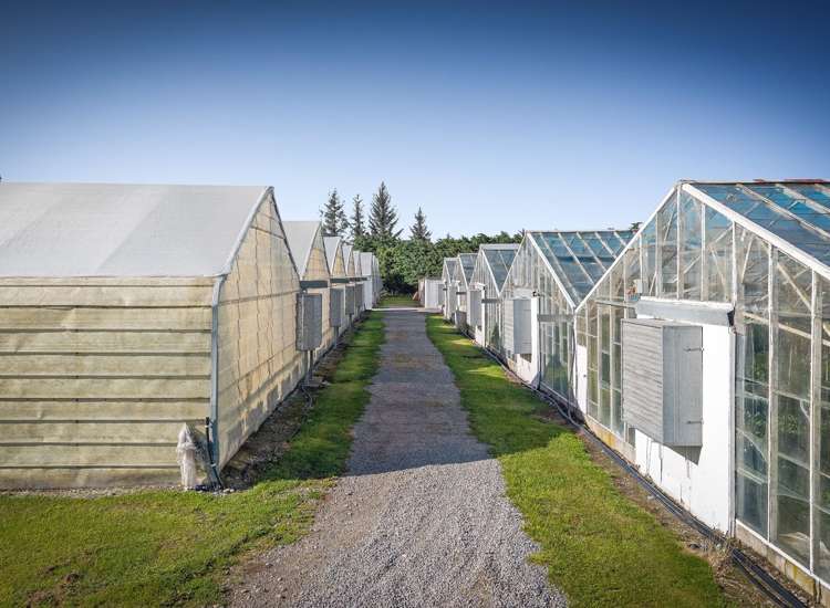 Address withheld Templeton_3