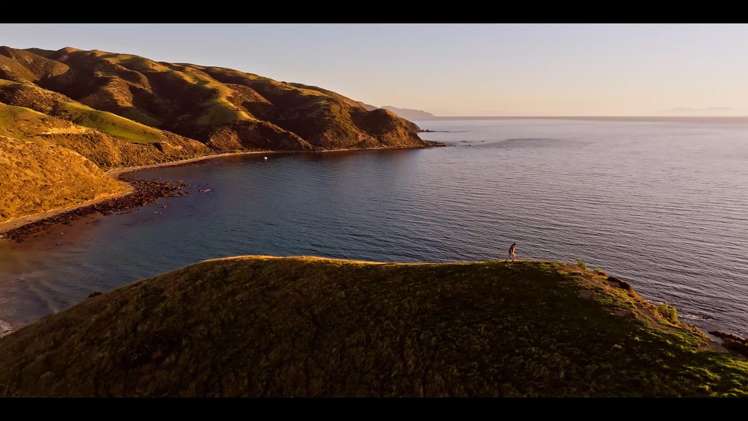 Pikarere Farm Porirua_4