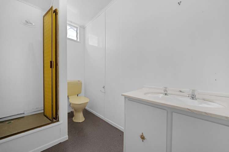 52 Carlton Street Hillsborough_30