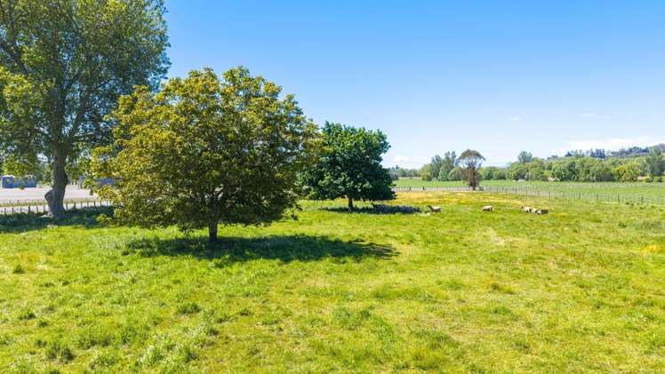 75 Ongaonga-Waipukurau Road Waipukurau_6