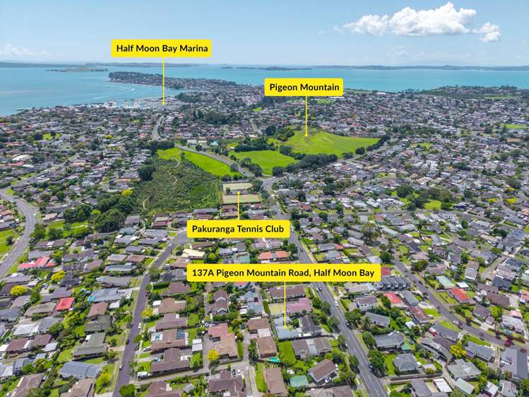 137A Pigeon Mountain Road Half Moon Bay_29