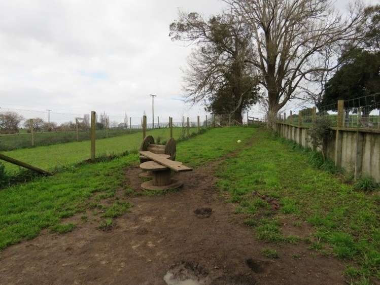 255 Gibbon Road Morrinsville_29