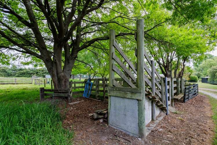 632 Lower Hook Road Makikihi_28