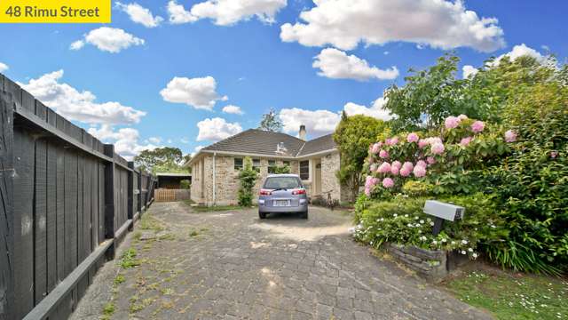 46 Rimu Street Maeroa_1