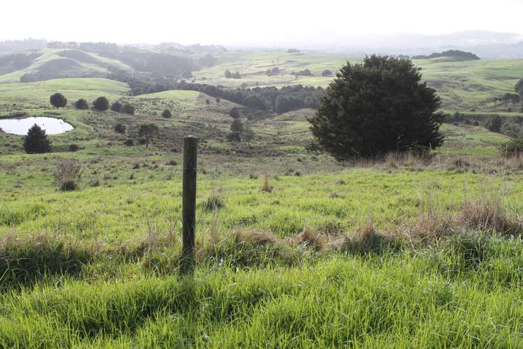 1311 State Highway 12 Maungaturoto_5