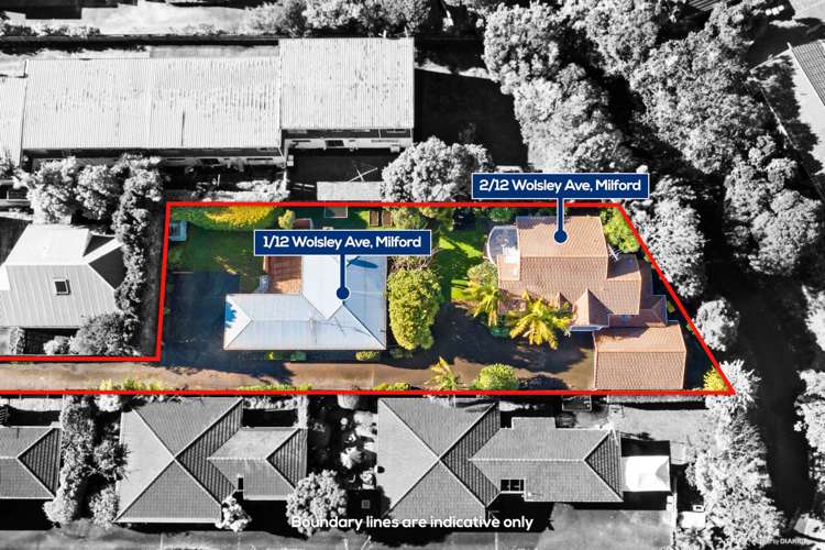 2/12 Wolsley Avenue Milford_18