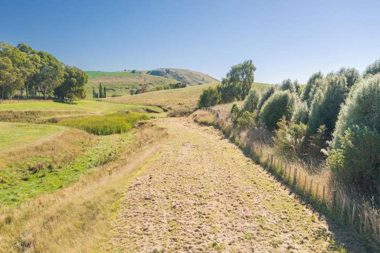 2365 State Highway 2 Poukawa_6