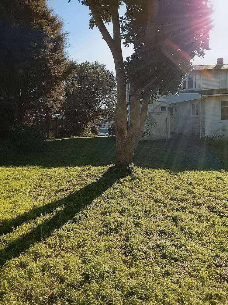 31A Kokiri Crescent Waitangirua_17