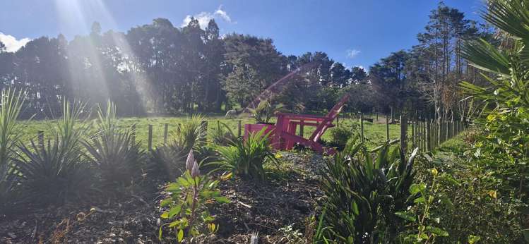 184 Monarch Downs Way Matakana_20