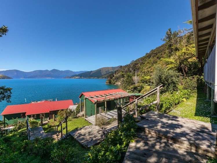 Wilson Bay Marlborough_15