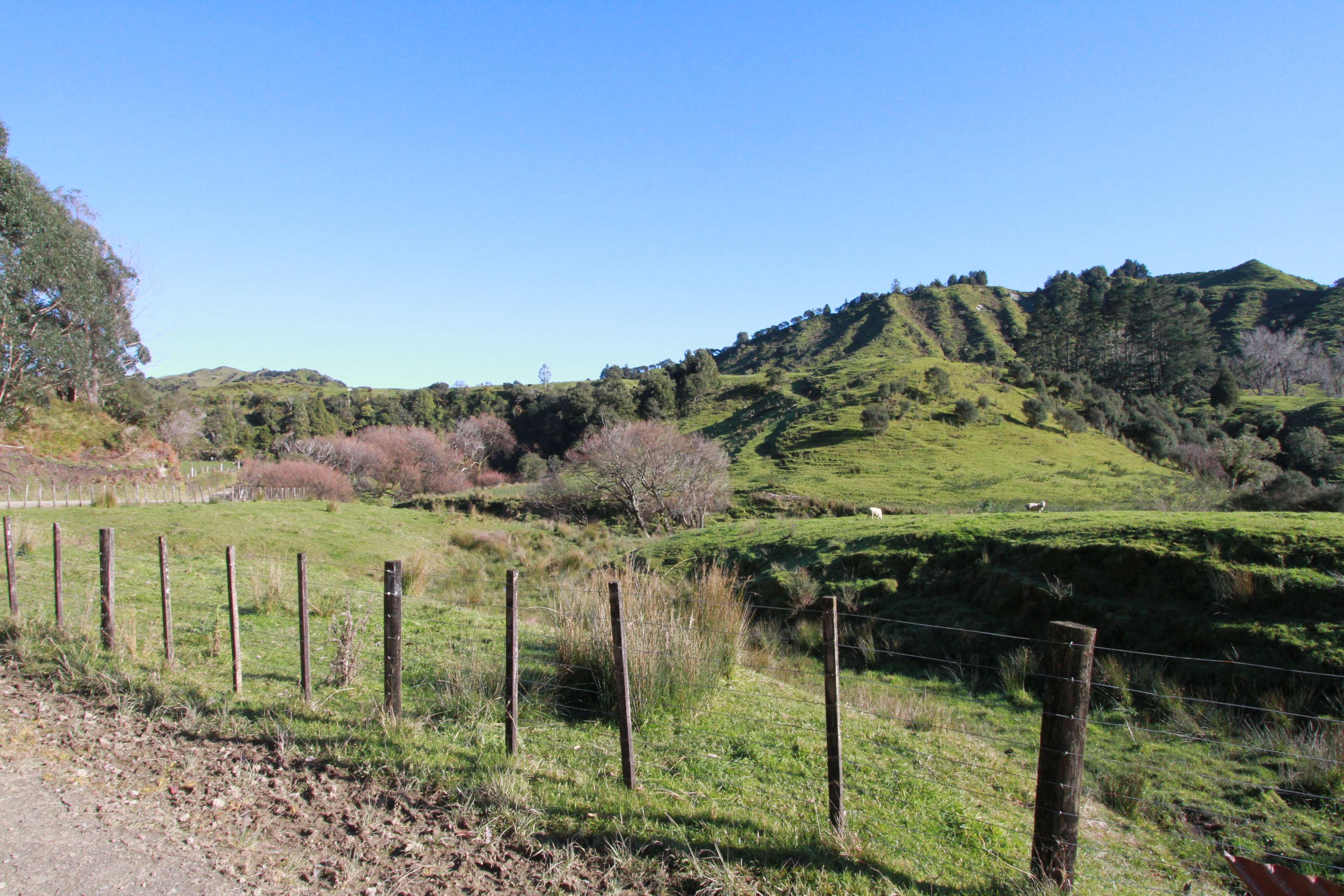 347 Ngatoto Road North Uruti New Plymouth Rural Property For Sale