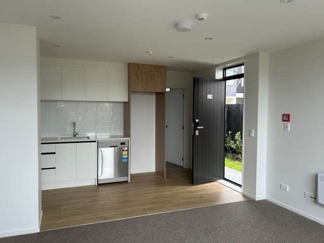 1/6 Treasure Lane Te Atatu South_2