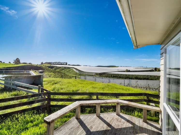 1050 Maniatutu Road Pongakawa_18