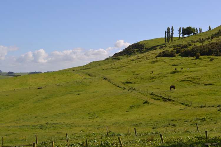 600 Island Stream Road Five Forks and Surrounds_12