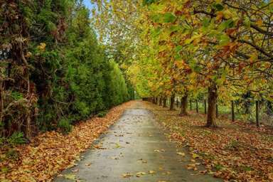 109 Old Railway Road_1