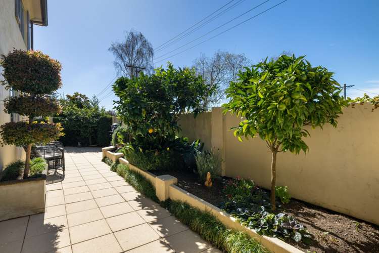 19 Edgecumbe Road Tauranga Central_9