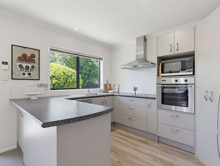 96A Domain Road Whakatane_1