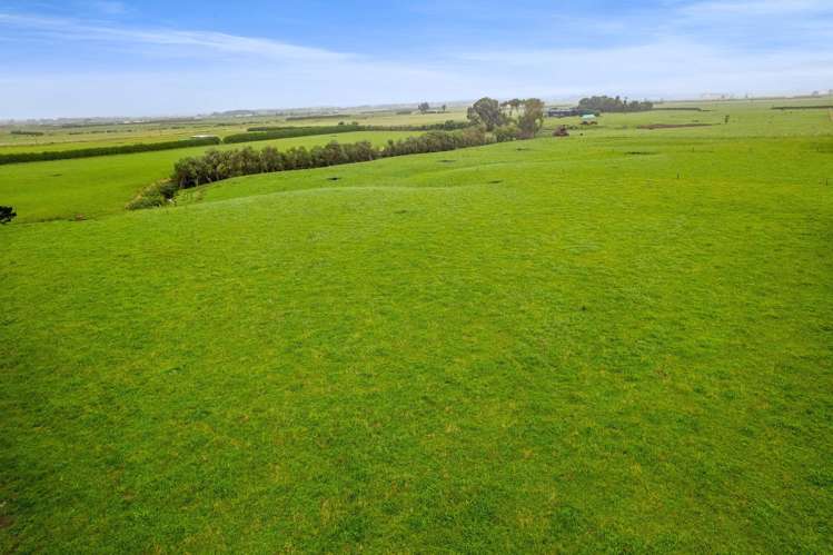 0n Normanby Road Lower Manaia_16