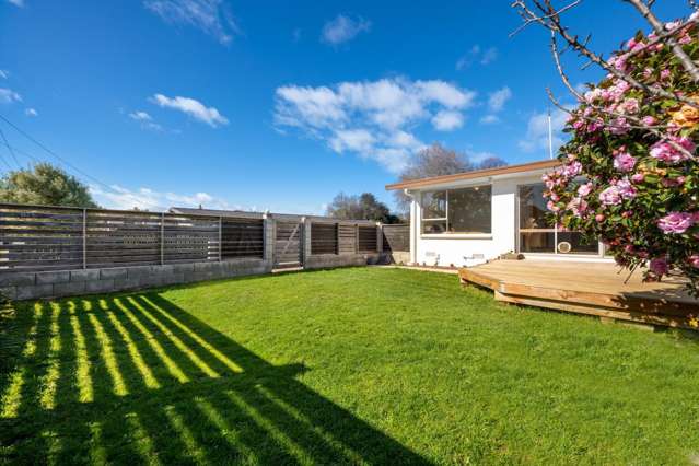 2/29 Ward Street Springlands_3