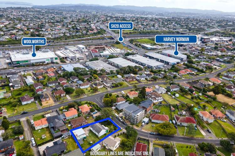54 Potter Avenue Mt Roskill_9