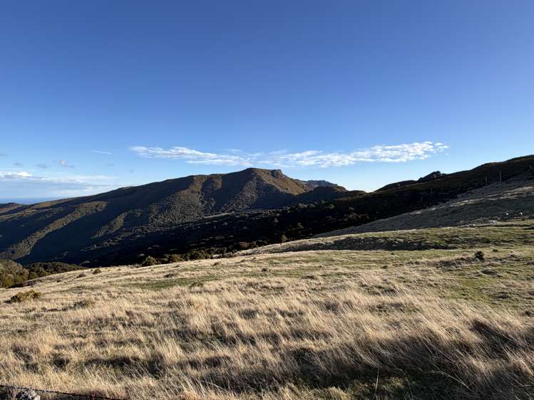 490 Long Bay Road Akaroa_20