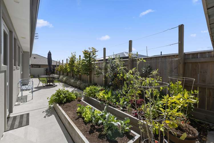 124 Johnstone Drive Fitzherbert_18