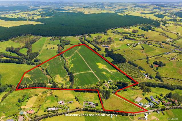 199 Ireland Road Waitoki_1