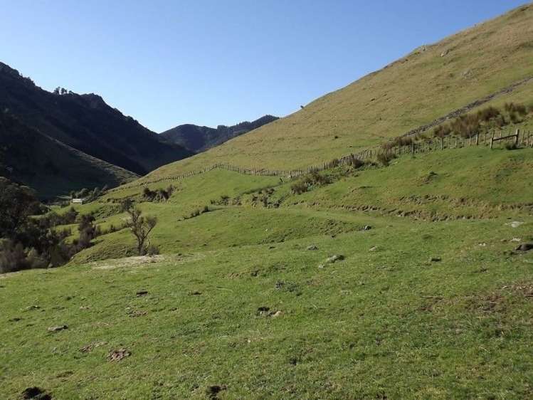 704 Mangatarere Valley Road Carterton_19