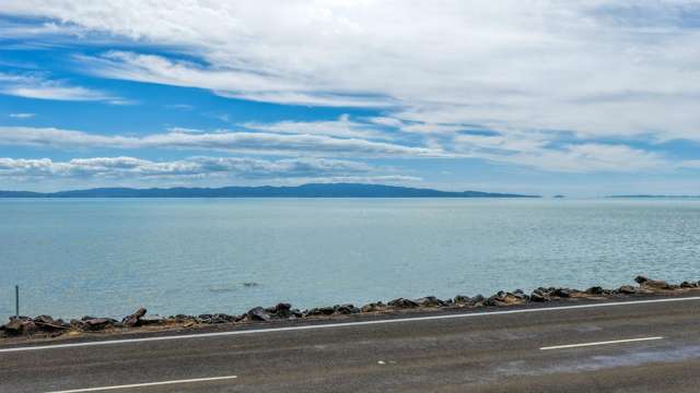 158 Thames Coast Road Thames_1