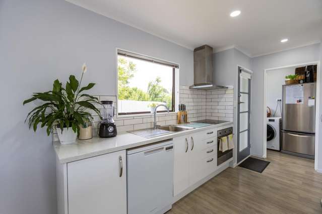 17A Geddis Avenue Maraenui_4