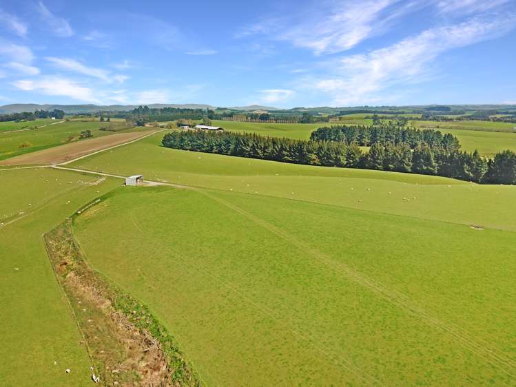 20 Carruthers Road Pomahaka_5