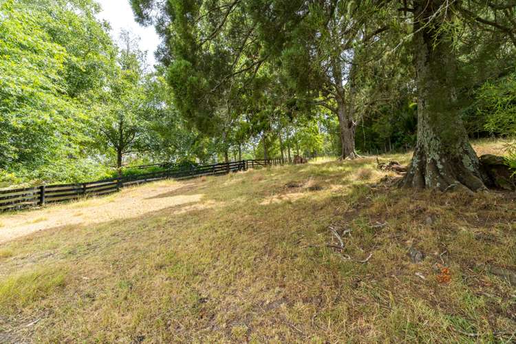 118 Bodhisattva Road Waitoki_12